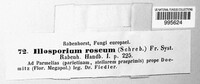 Illosporium roseum image